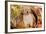 Golden Retriever-Lynn M^ Stone-Framed Photographic Print