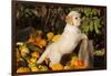 Golden Retriever-Lynn M^ Stone-Framed Photographic Print