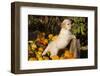 Golden Retriever-Lynn M^ Stone-Framed Photographic Print