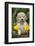 Golden Retriever-Lynn M^ Stone-Framed Photographic Print