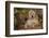 Golden Retriever-Lynn M^ Stone-Framed Photographic Print