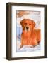 Golden Retriever-null-Framed Photographic Print