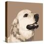 Golden Retriever-Emily Burrowes-Stretched Canvas