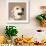 Golden Retriever-Emily Burrowes-Framed Art Print displayed on a wall