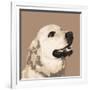 Golden Retriever-Emily Burrowes-Framed Art Print