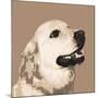 Golden Retriever-Emily Burrowes-Mounted Art Print