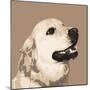 Golden Retriever-Emily Burrowes-Mounted Art Print