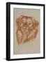 Golden Retriever-Barbara Keith-Framed Giclee Print