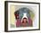 Golden Retriever-Lanre Adefioye-Framed Giclee Print