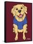 Golden Retriever-Tomoyo Pitcher-Framed Stretched Canvas