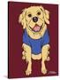 Golden Retriever-Tomoyo Pitcher-Stretched Canvas