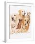 Golden Retriever-Barbara Keith-Framed Giclee Print