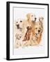 Golden Retriever-Barbara Keith-Framed Giclee Print