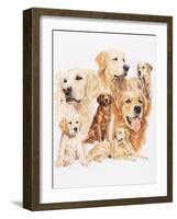 Golden Retriever-Barbara Keith-Framed Giclee Print