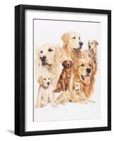 Golden Retriever-Barbara Keith-Framed Giclee Print