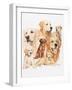 Golden Retriever-Barbara Keith-Framed Giclee Print