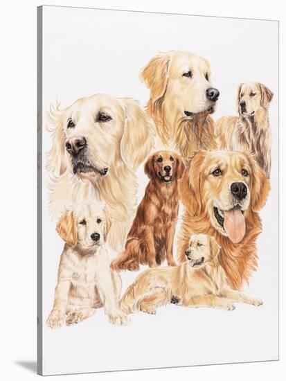 Golden Retriever-Barbara Keith-Stretched Canvas