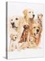 Golden Retriever-Barbara Keith-Stretched Canvas