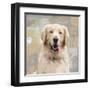 Golden Retriever-Keri Rodgers-Framed Art Print