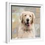 Golden Retriever-Keri Rodgers-Framed Art Print