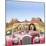 Golden Retrievers Driving Car Through Desert Scene-null-Mounted Photographic Print