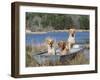 Golden Retrievers in Boat, USA-Lynn M^ Stone-Framed Photographic Print