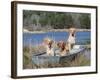 Golden Retrievers in Boat, USA-Lynn M^ Stone-Framed Photographic Print