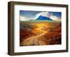 Golden Road II-Chris Vest-Framed Photographic Print