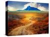 Golden Road II-Chris Vest-Stretched Canvas