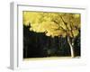 Golden Robinia, Marysville, Victoria, Australia, Pacific-Jochen Schlenker-Framed Photographic Print