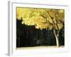 Golden Robinia, Marysville, Victoria, Australia, Pacific-Jochen Schlenker-Framed Photographic Print