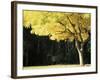 Golden Robinia, Marysville, Victoria, Australia, Pacific-Jochen Schlenker-Framed Photographic Print