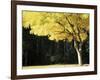 Golden Robinia, Marysville, Victoria, Australia, Pacific-Jochen Schlenker-Framed Photographic Print