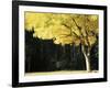 Golden Robinia, Marysville, Victoria, Australia, Pacific-Jochen Schlenker-Framed Photographic Print