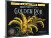 Golden Rod Brand - Bloomington, California - Citrus Crate Label-Lantern Press-Mounted Art Print