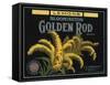 Golden Rod Brand - Bloomington, California - Citrus Crate Label-Lantern Press-Framed Stretched Canvas
