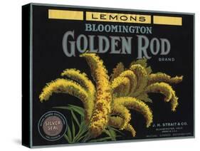 Golden Rod Brand - Bloomington, California - Citrus Crate Label-Lantern Press-Stretched Canvas