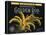 Golden Rod Brand - Bloomington, California - Citrus Crate Label-Lantern Press-Stretched Canvas