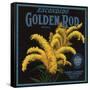 Golden Rod Brand - Escondido, California - Citrus Crate Label-Lantern Press-Framed Stretched Canvas