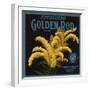 Golden Rod Brand - Escondido, California - Citrus Crate Label-Lantern Press-Framed Art Print