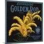 Golden Rod Brand - Escondido, California - Citrus Crate Label-Lantern Press-Mounted Art Print