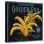 Golden Rod Brand - Escondido, California - Citrus Crate Label-Lantern Press-Stretched Canvas