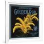 Golden Rod Brand - Escondido, California - Citrus Crate Label-Lantern Press-Framed Art Print