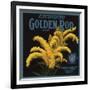 Golden Rod Brand - Escondido, California - Citrus Crate Label-Lantern Press-Framed Art Print