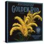 Golden Rod Brand - Escondido, California - Citrus Crate Label-Lantern Press-Stretched Canvas