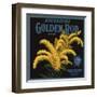 Golden Rod Brand - Escondido, California - Citrus Crate Label-Lantern Press-Framed Art Print