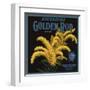 Golden Rod Brand - Escondido, California - Citrus Crate Label-Lantern Press-Framed Art Print