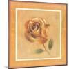 Golden Roman Rose-Lewman Zaid-Mounted Art Print