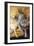 Golden Rule-Gordon Semmens-Framed Giclee Print