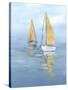 Golden Sail II-Isabelle Z-Stretched Canvas